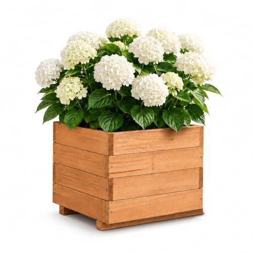 15.75" Square Wooden Planter Box (Brown / W15.75X D15.75X H12.6in)