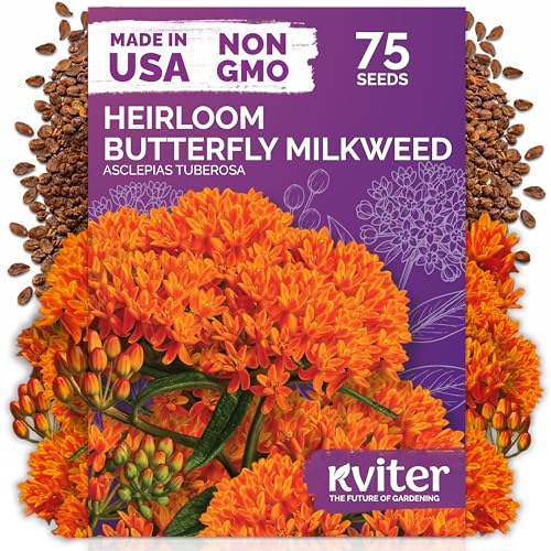 75 Orange Butterfly Milkweed Heirloom Flower Seeds