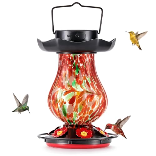 Solar Hummingbird Feeder for Outdoor
