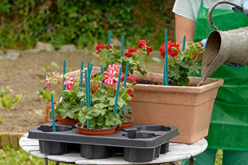 Plant Stakes 25Pcs (Green / 18 Inch 25Pack)