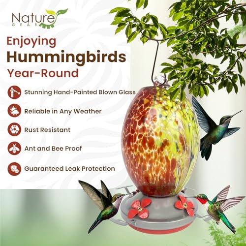 Glass Hummingbird Feeder for Outdoors