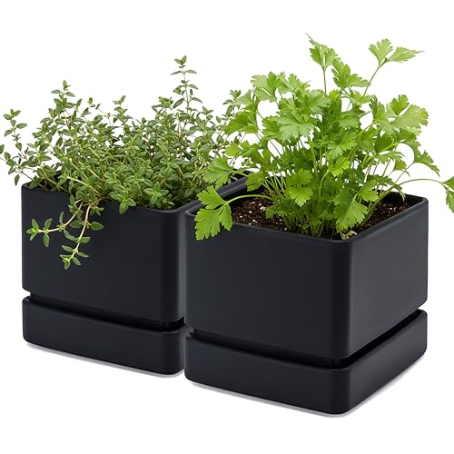 2 Pack Plastic Herb Planter Pots (2 Count)