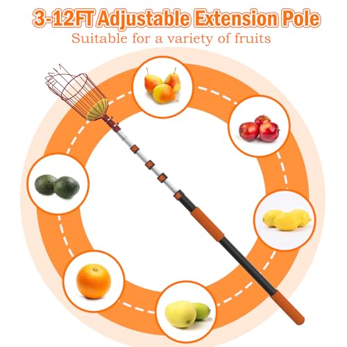 SISIUPASSIE 20FT Reach Fruit Picker