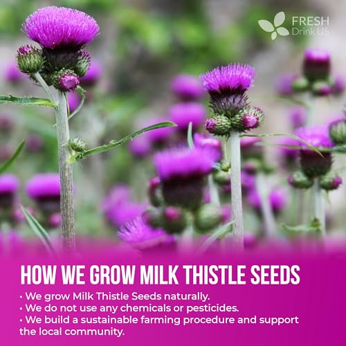 Premium 16oz Milk Thistle Seeds (16oz)