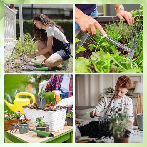 6 Piece Garden Tool Set (6 Count)
