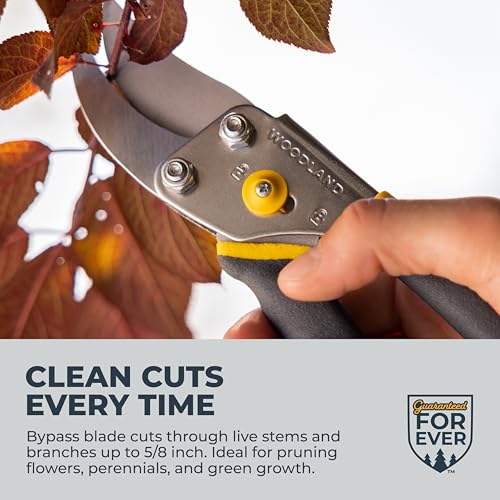 Co. Bypass Pruning Shears for Gardening