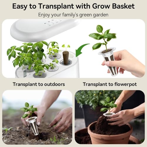 Asian Herb Seed Pod Kit for AeroGarden (7 Pod)