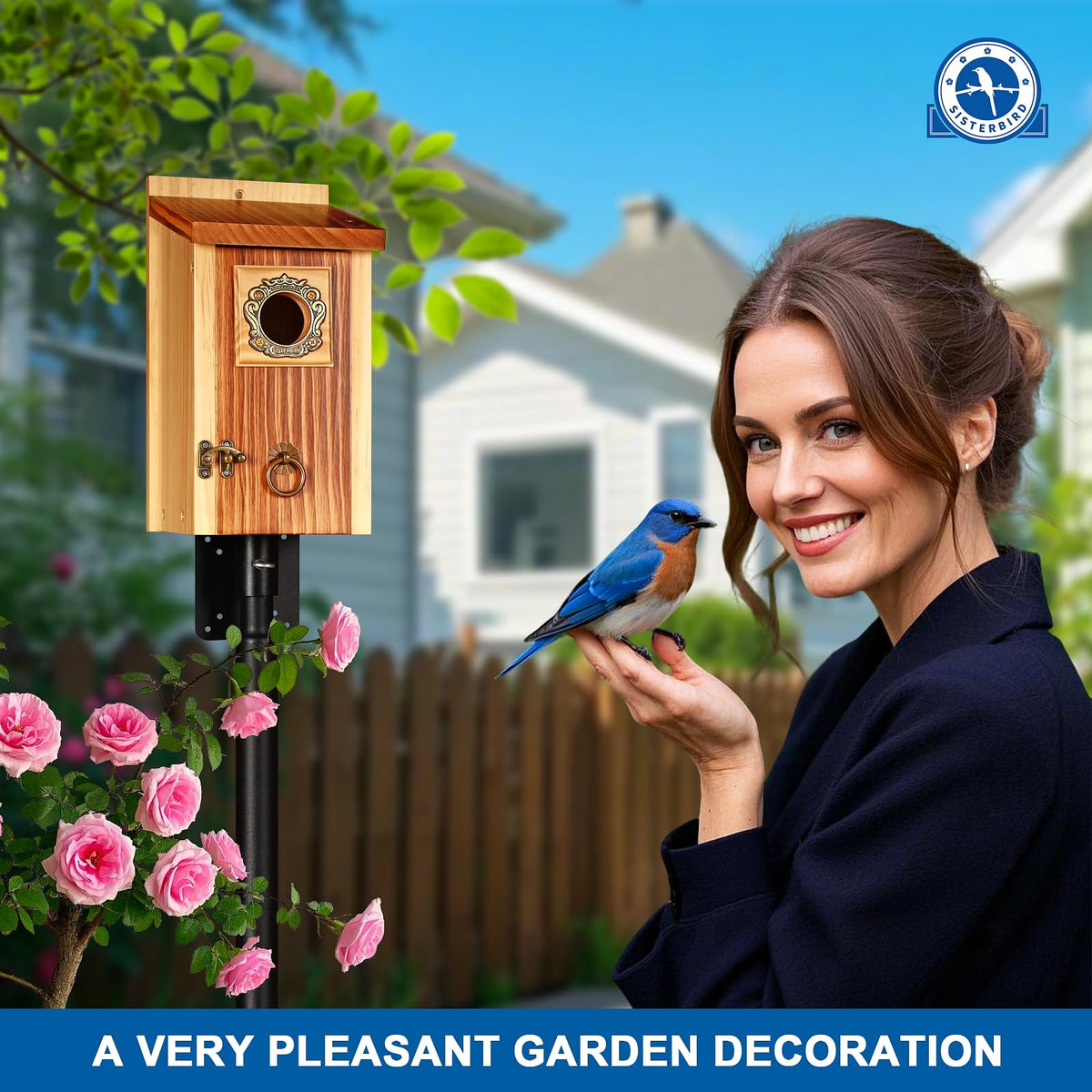 2 Pack Premium Bird House
