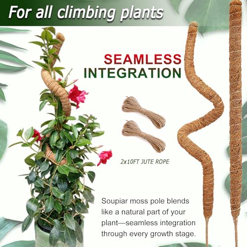2 Pack 48'' Bendable Moss Pole for Monstera & Pothos (2 × 48 Inch)