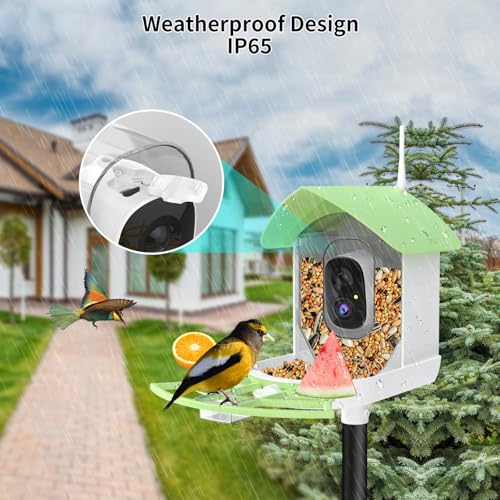 Bird Feeder with Camera