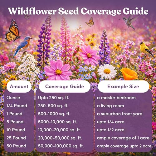 Bulk Wildflower Seed (16 Ounce)