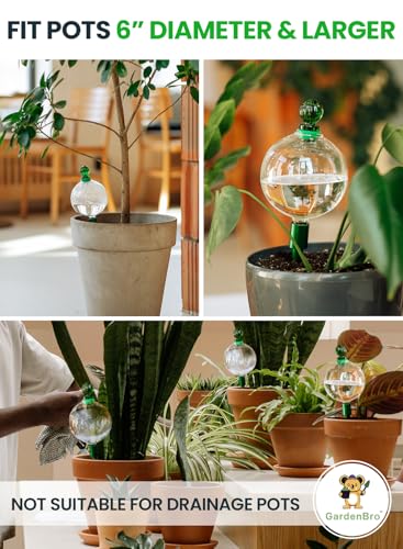 16 Oz Plant Watering Globes (Clear (1-Pack))