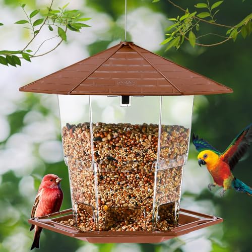 Hanging Bird Feeder for Outdoors