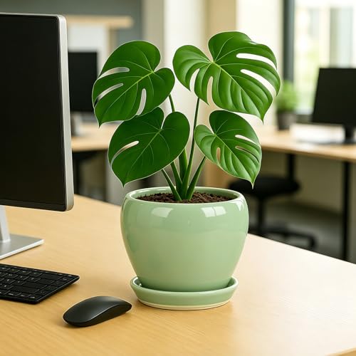 8 Inch Plant Pots (Mint Green / 8 Inch)