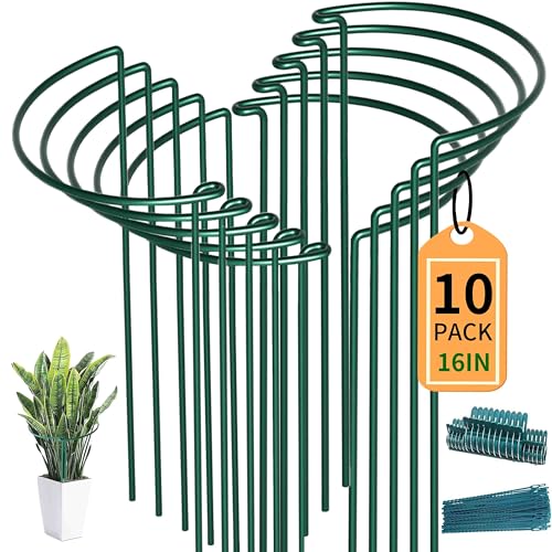 10 Pack Plant Support Stakes for Peony (10 Count)