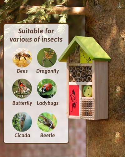 Premium Bug Hotel Kit Cedar Wood Insect Hotel Insect House