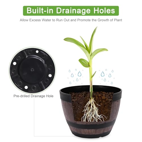 Plant Pots with Drainage Holes & Saucer (4 Count)