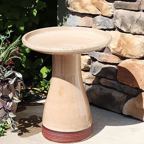 Sunnydaze Bird Bath for Outside