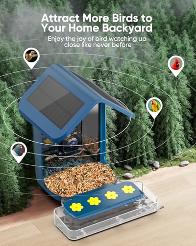 Bird Feeder with Camera Solar Powered