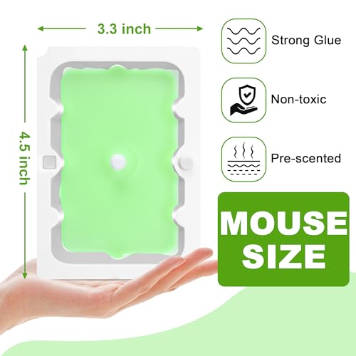 100 Pack Mouse Glue Trap (4.5" x 3.3")
