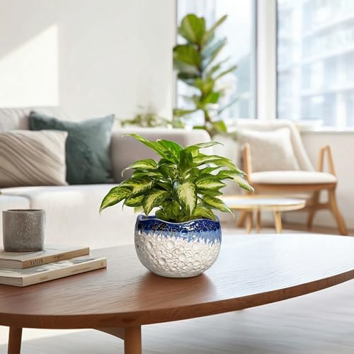 Ceramic Plant Pots (6.2 Inch / Beige-blue)