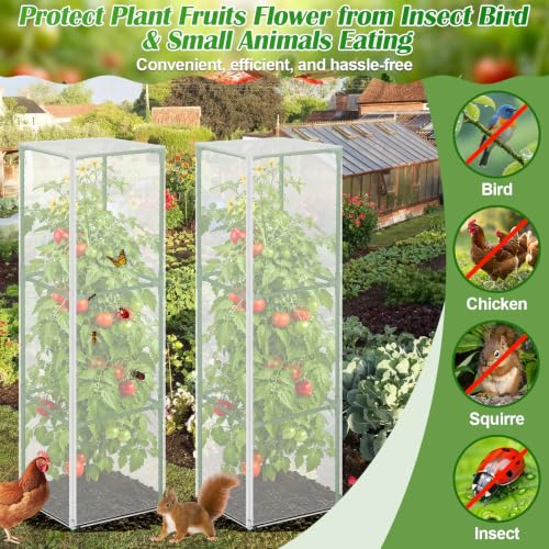 2 Pack Square Tomato Cages with 2 Plant Covers (2 PACK with Plant Covers)
