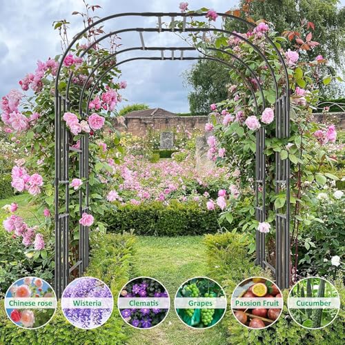 Garden Arch Trellis (87"H x 59"L x 47"W/Black)