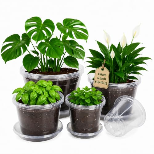 Clear Nursery Pots with Saucers (6/8/10/12 Inch-20Pcs)