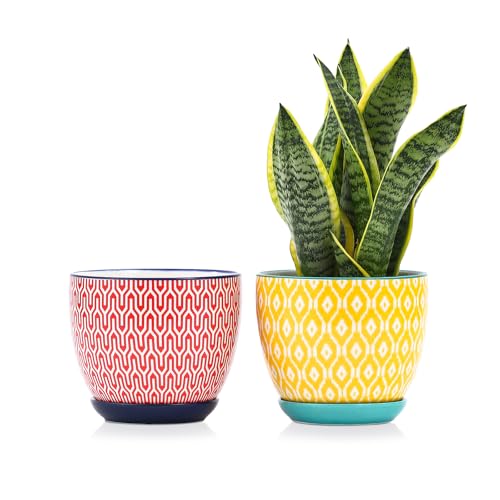 Ceramica Plant Pots (Assorted Colors / 6.5 Inch, Set of 2)
