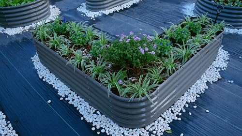 Anleolife 12 Bed Heart (12 Count)