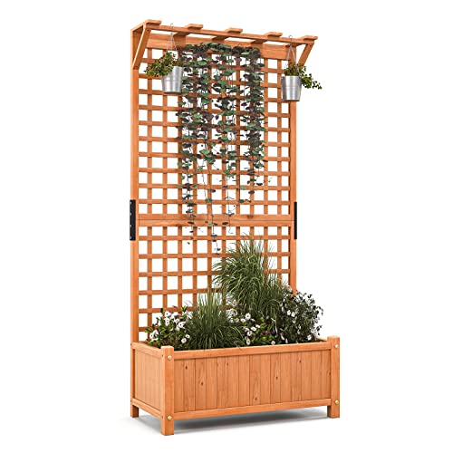 Raised Garden Bed with Trellis & Roof