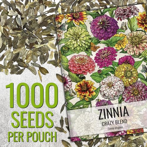 Zinnia Seeds Original Crazy Blend 1