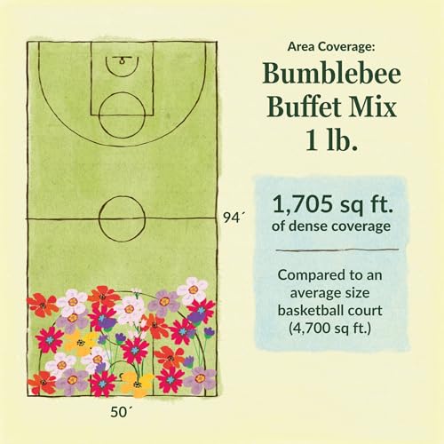 Bumblebee Buffet Bulk Wildflower Seeds (16 Ounce)