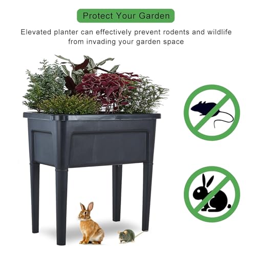 4 Pcs Plastic Raised Garden Beds with Legs (4 Count)