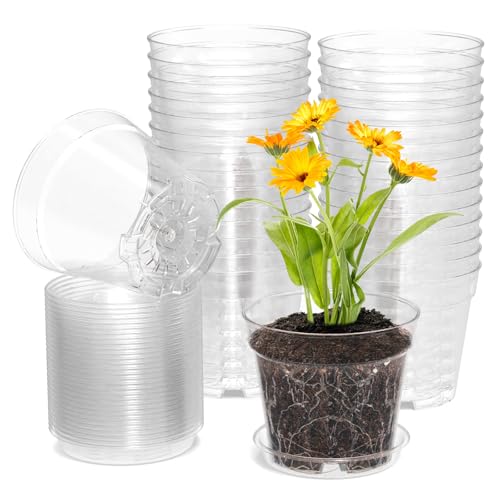 4 Inch Clear Nursery Pots (30 Count)