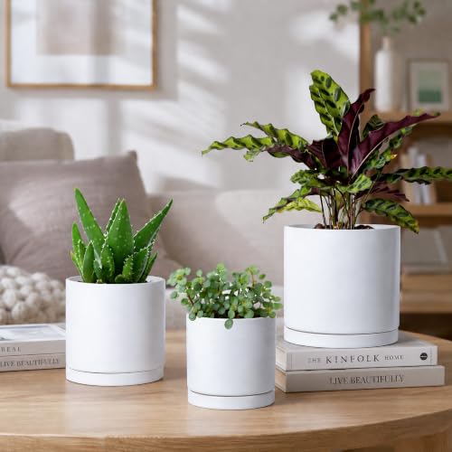 3 Pack White Terracotta Pots & Saucers (4+5+6 Inch / White)