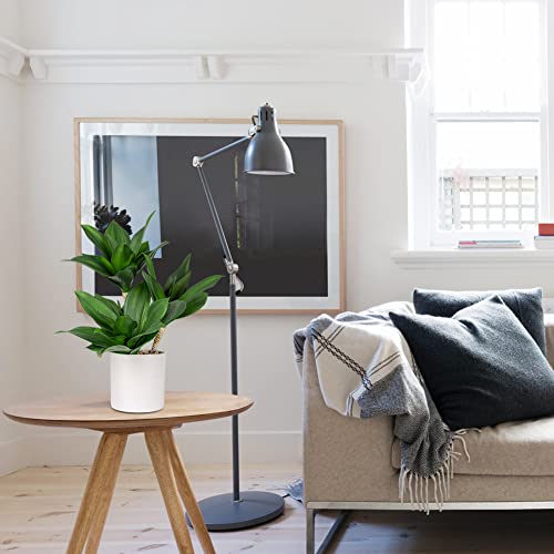 Large Artificial Agave Plants Fake Three