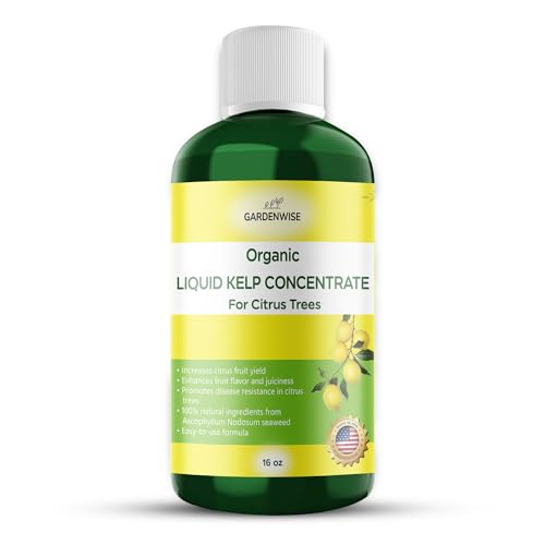 Organic Premium Kelp Seaweed Fertilizer (16 Fl Oz)