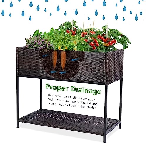 Raised Garden Bed