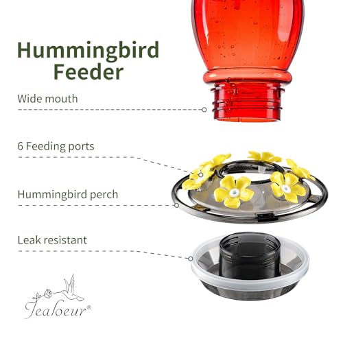 Hummingbird Feeder for Outdoors Hanging