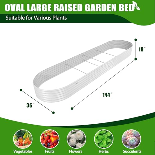 Anleolife 3 Bed Oval & Heart (3 Count)