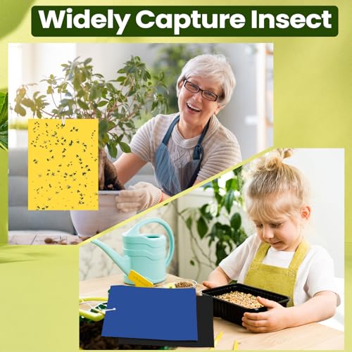 150 Pcs 6x8 Inch Yellow Blue Black Sticky Traps for Gnats (Yellow,Blue,Black)