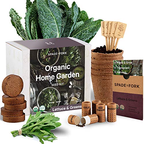 Organic Indoor Lettuce & Greens Garden Starter Kit