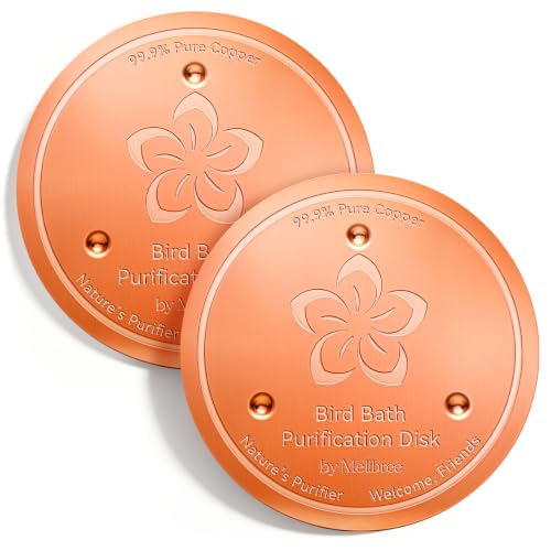 2 Pack Bird Bath Copper Disc (Copper Flower)