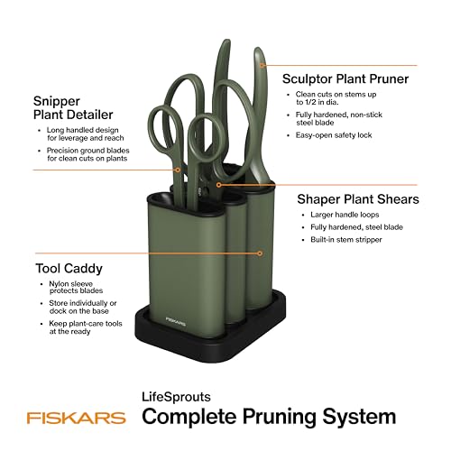 Indoor Plant Care 3