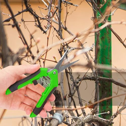 15 Pack 6.5 Inch Green Garden Pruning Scissors (15 Count)