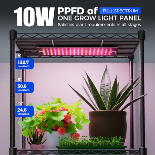 CX83Z Indoor Greenhouse with Grow Light (3 Spectrum-CX83Z / 15.7x11.8x59.1IN w/ Tent)