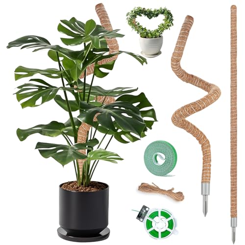 2 Pack Moss Pole (63"- 2 pack)