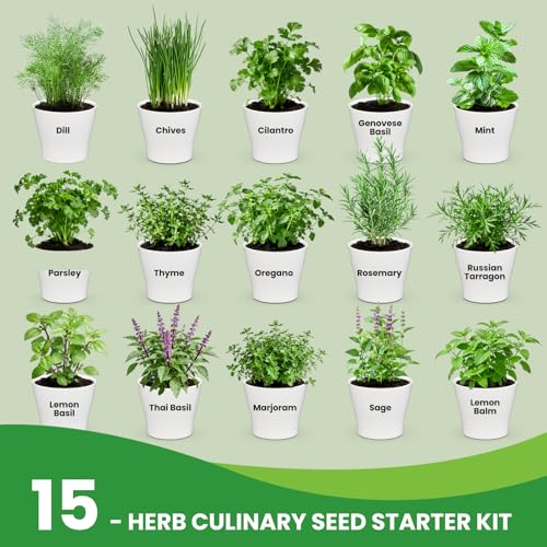 Herb Garden Starter Kit (29.99 Count)