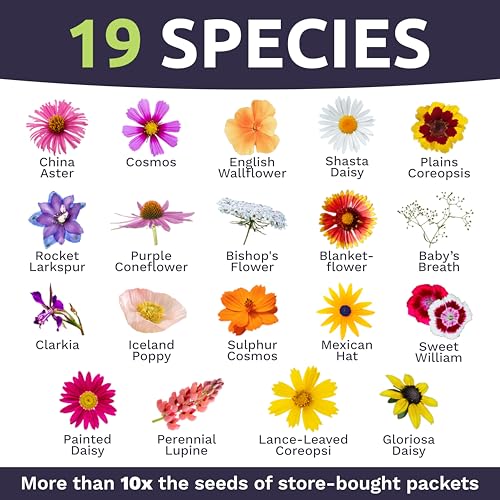 Cut Flower Garden Seeds (1/4 Pound Bag)